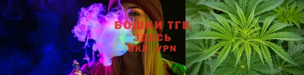 тгк Дмитровск