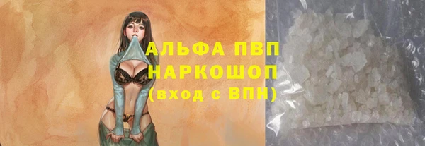тгк Дмитровск