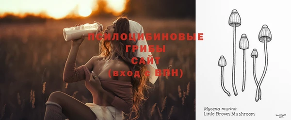 меф Бикин