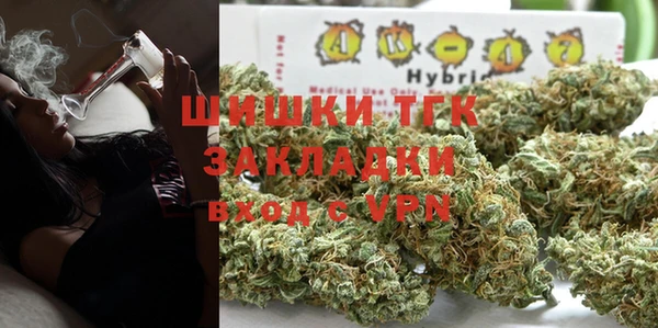 тгк Дмитровск