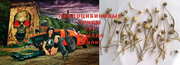 тгк Дмитровск