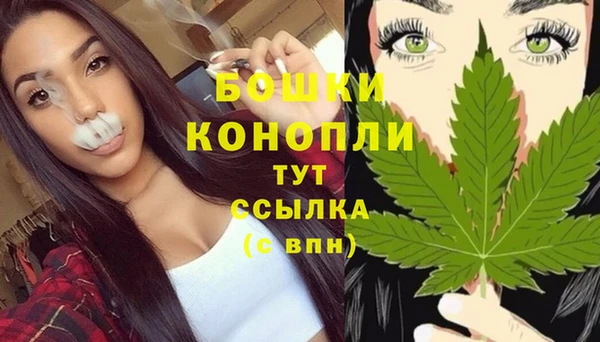 тгк Дмитровск