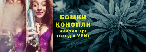тгк Дмитровск
