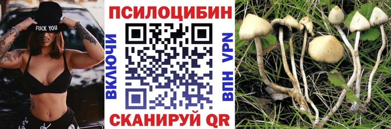 Псилоцибиновые грибы прущие грибы  omg онион  Зерноград  где найти наркотики 
