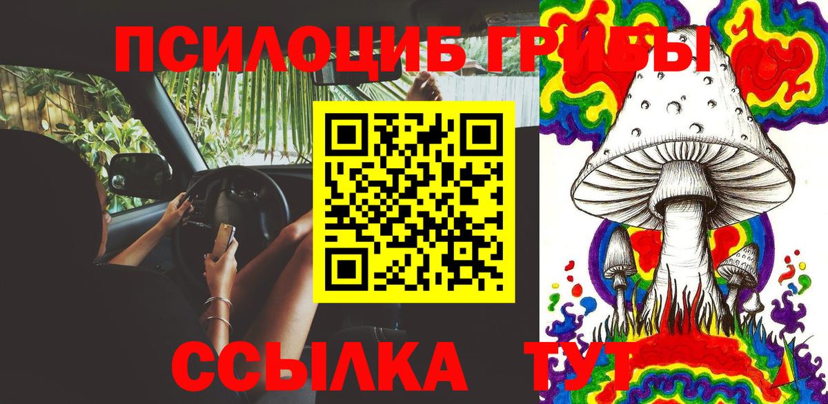 Галлюциногенные грибы Psilocybe  Галлюциногенные грибы MAGIC MUSHROOMS  Зерноград  Вход с VPN 
